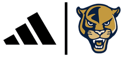 Florida International University banner logo