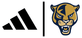 Florida International University banner logo